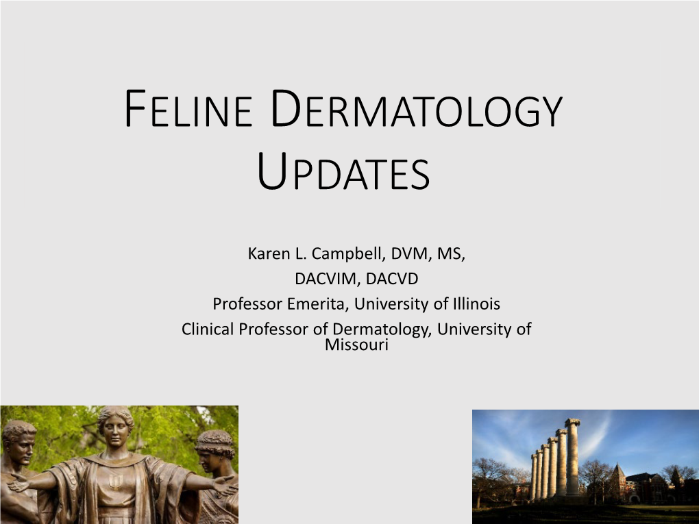 Feline Dermatology Updates