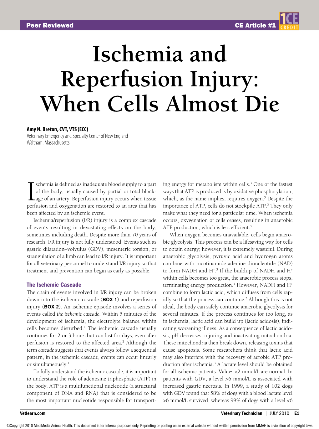 Ischemia and Reperfusion Injury: When Cells Almost Die