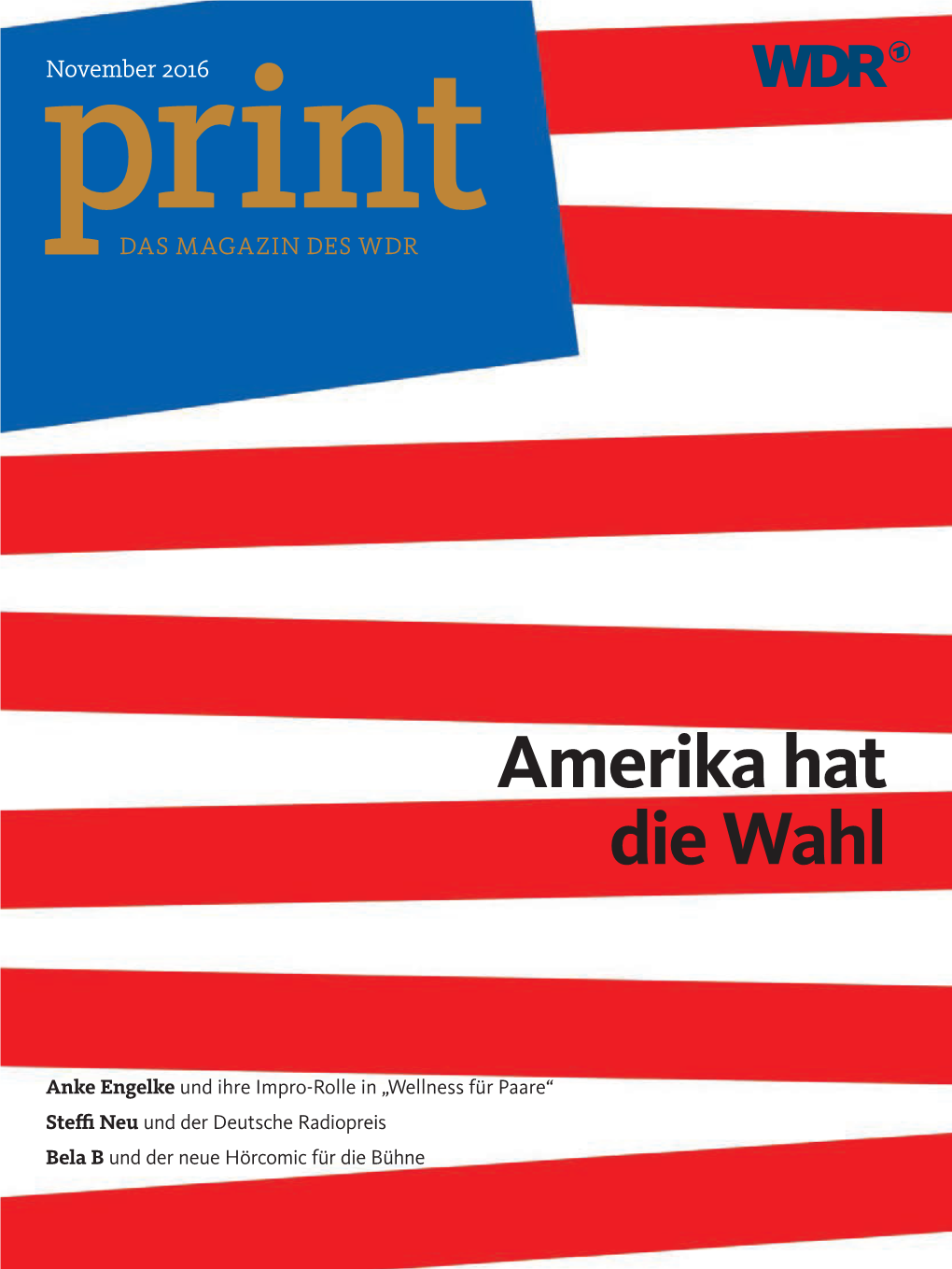 Amerika Hat Die Wahl