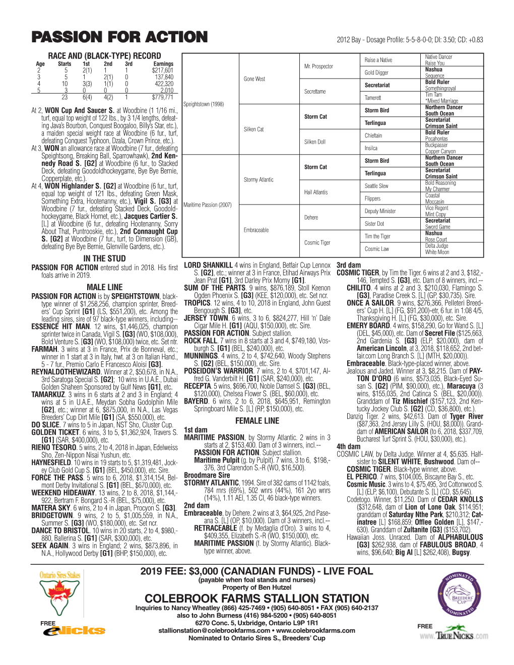 PASSION for ACTION 2012 Bay - Dosage Profile: 5-5-8-0-0; DI: 3.50; CD: +0.83