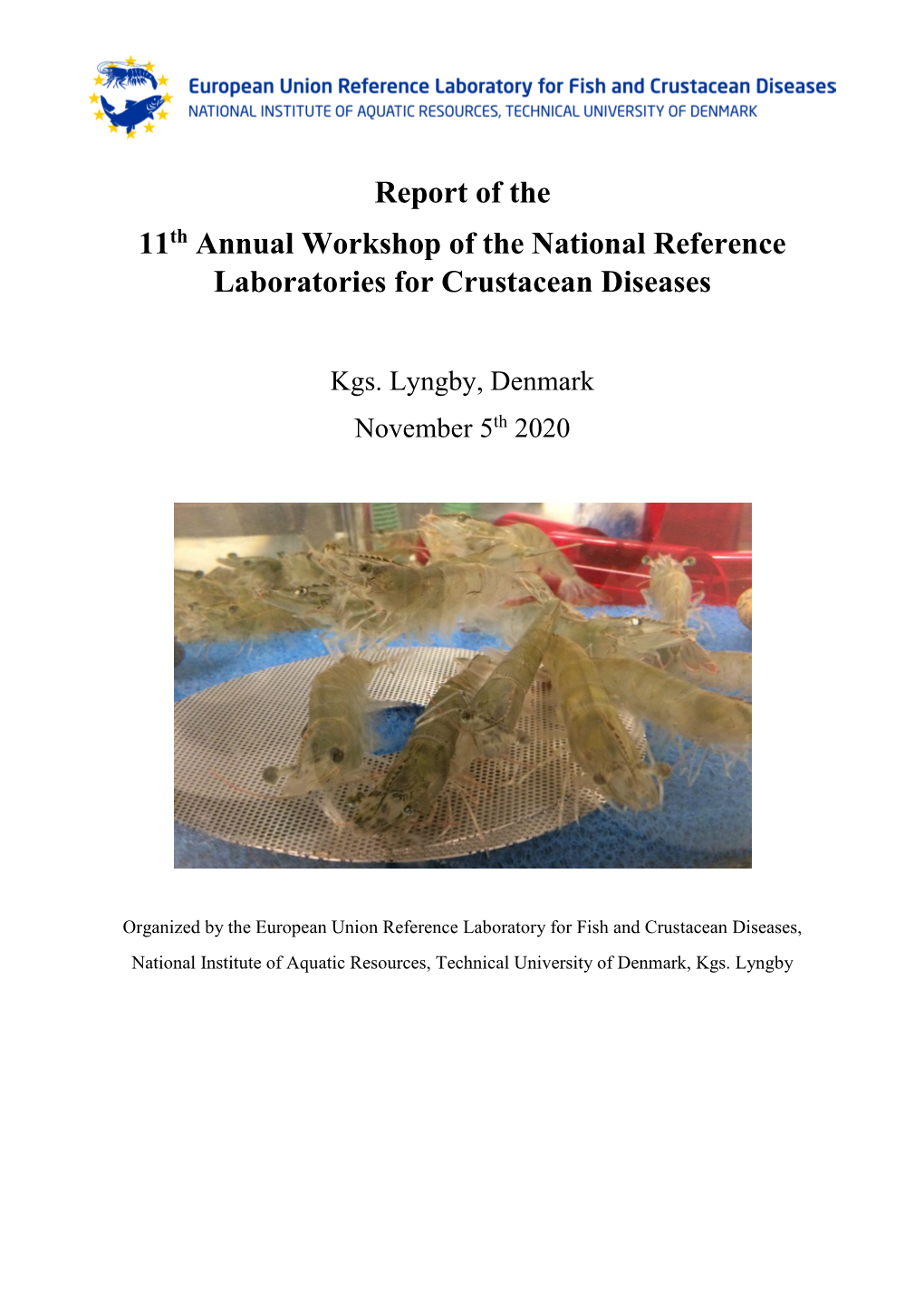 Report from Annual Workshop