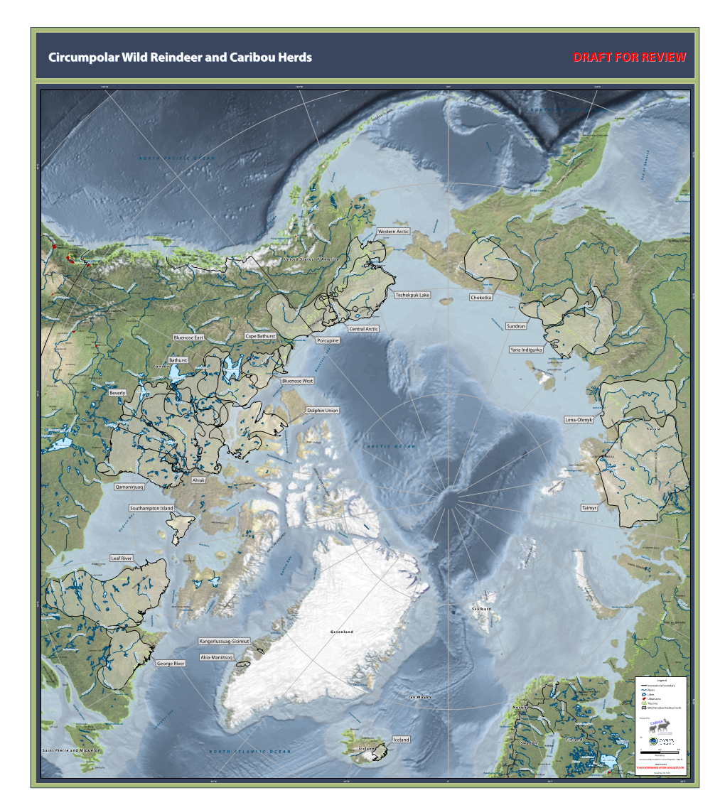 Circumpolar Wild Reindeer and Caribou Herds DRAFT for REVIEW