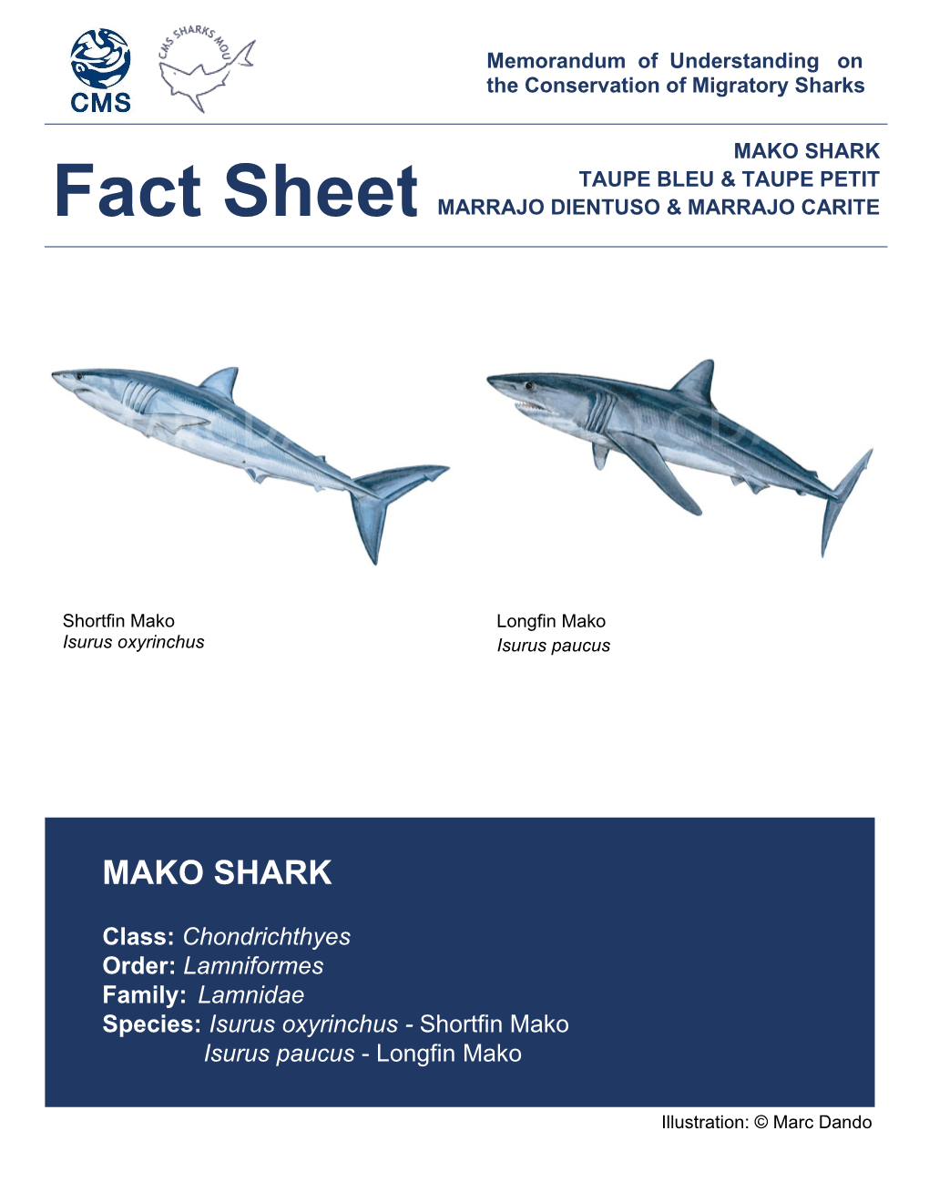 Mako Shark.Pdf