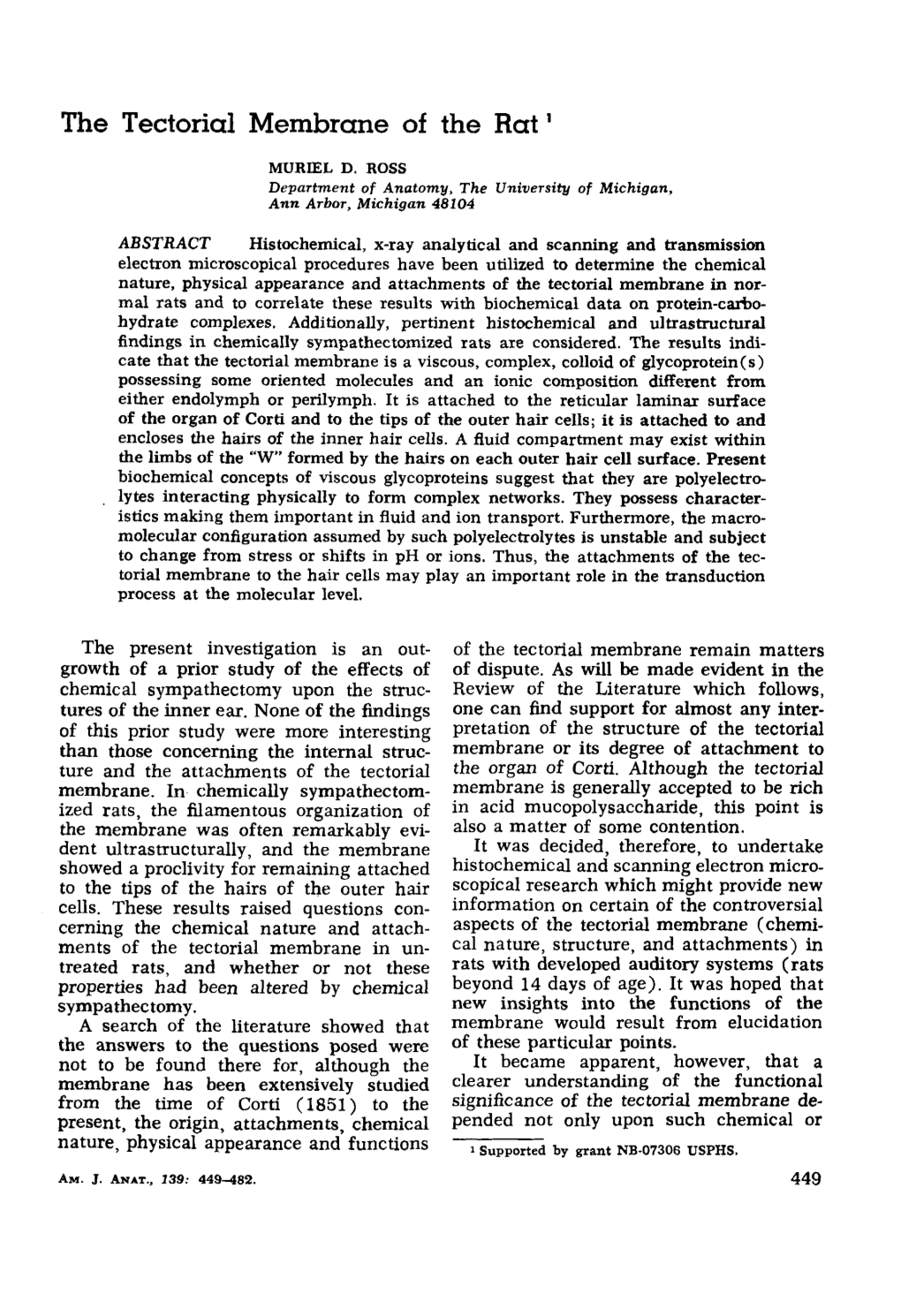 The Tectorial Membrane of the Rat'