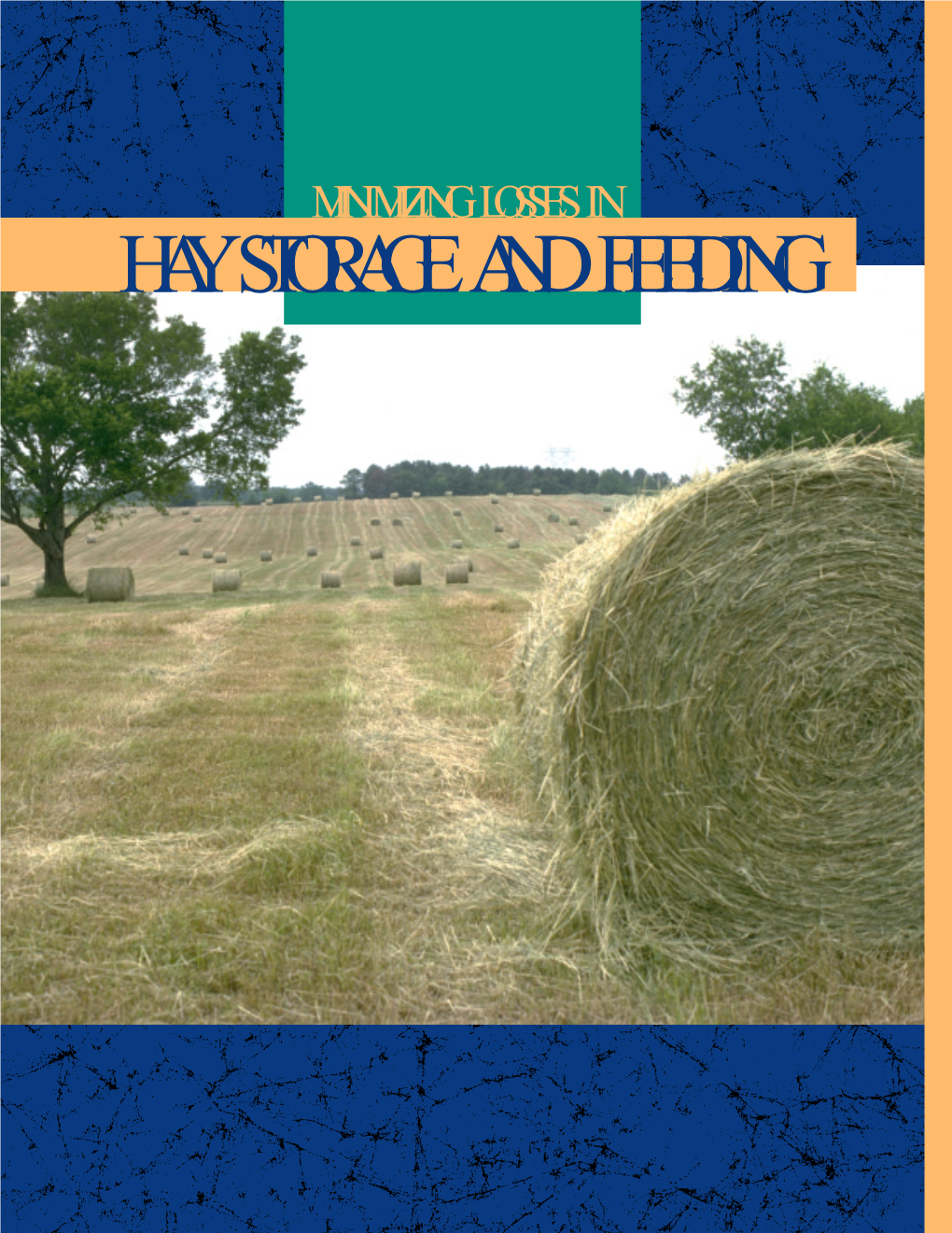 Minimizing Losses in Hay Storage and Feeding