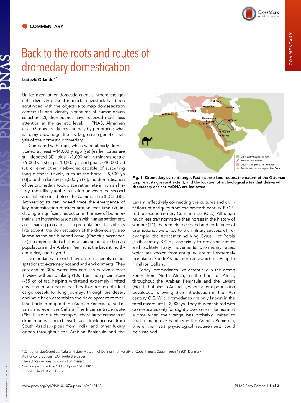 The Roots and Routes of Dromedary Domestication