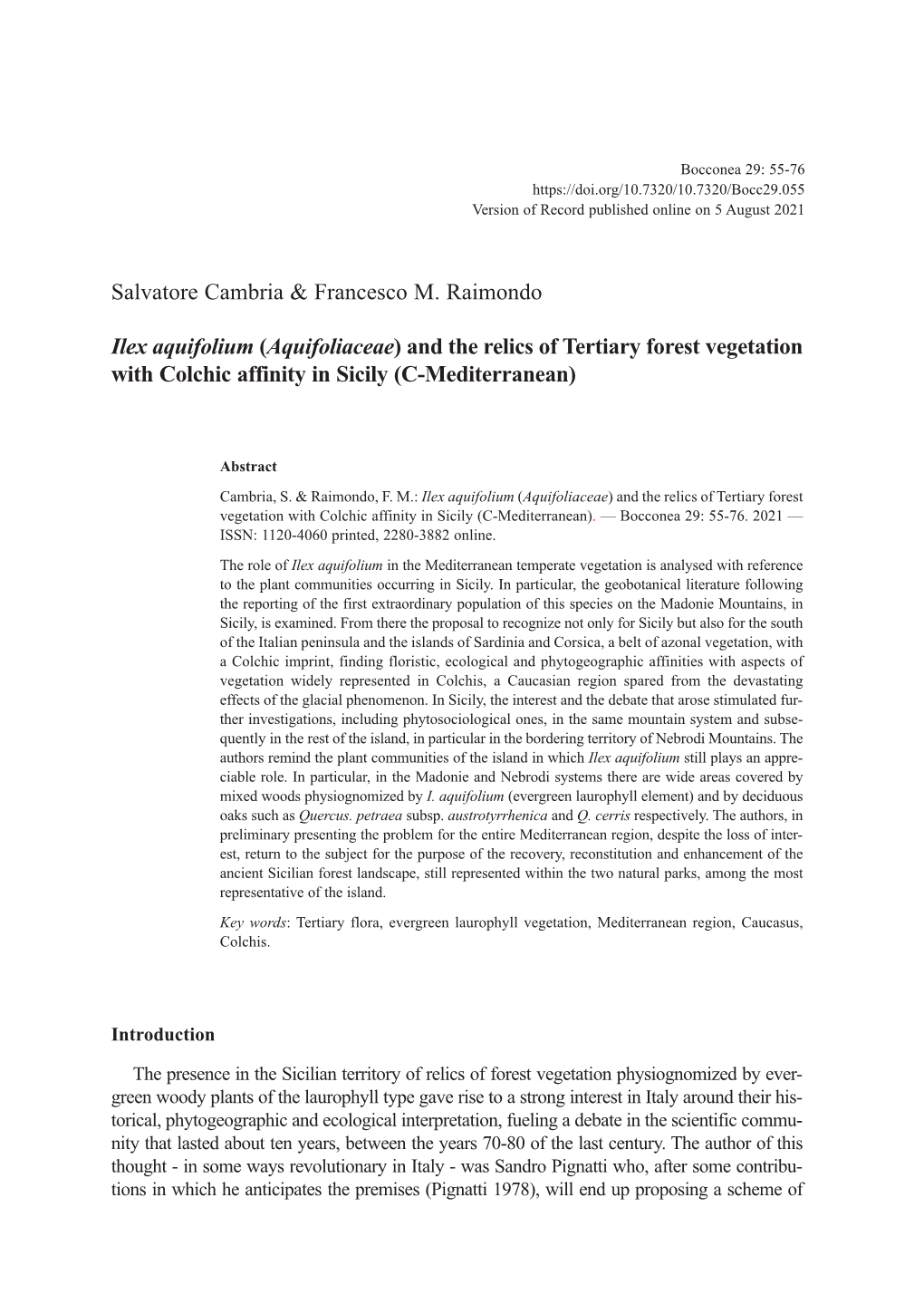 Salvatore Cambria & Francesco M. Raimondo Ilex Aquifolium