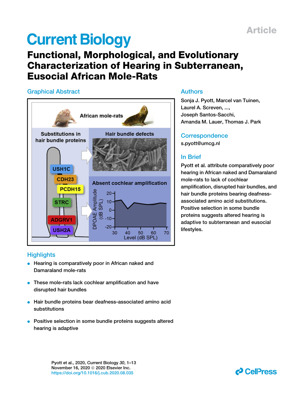 Functional, Morphological, and Evolutionary Characterization of Hearing in Subterranean, Eusocial African Mole-Rats