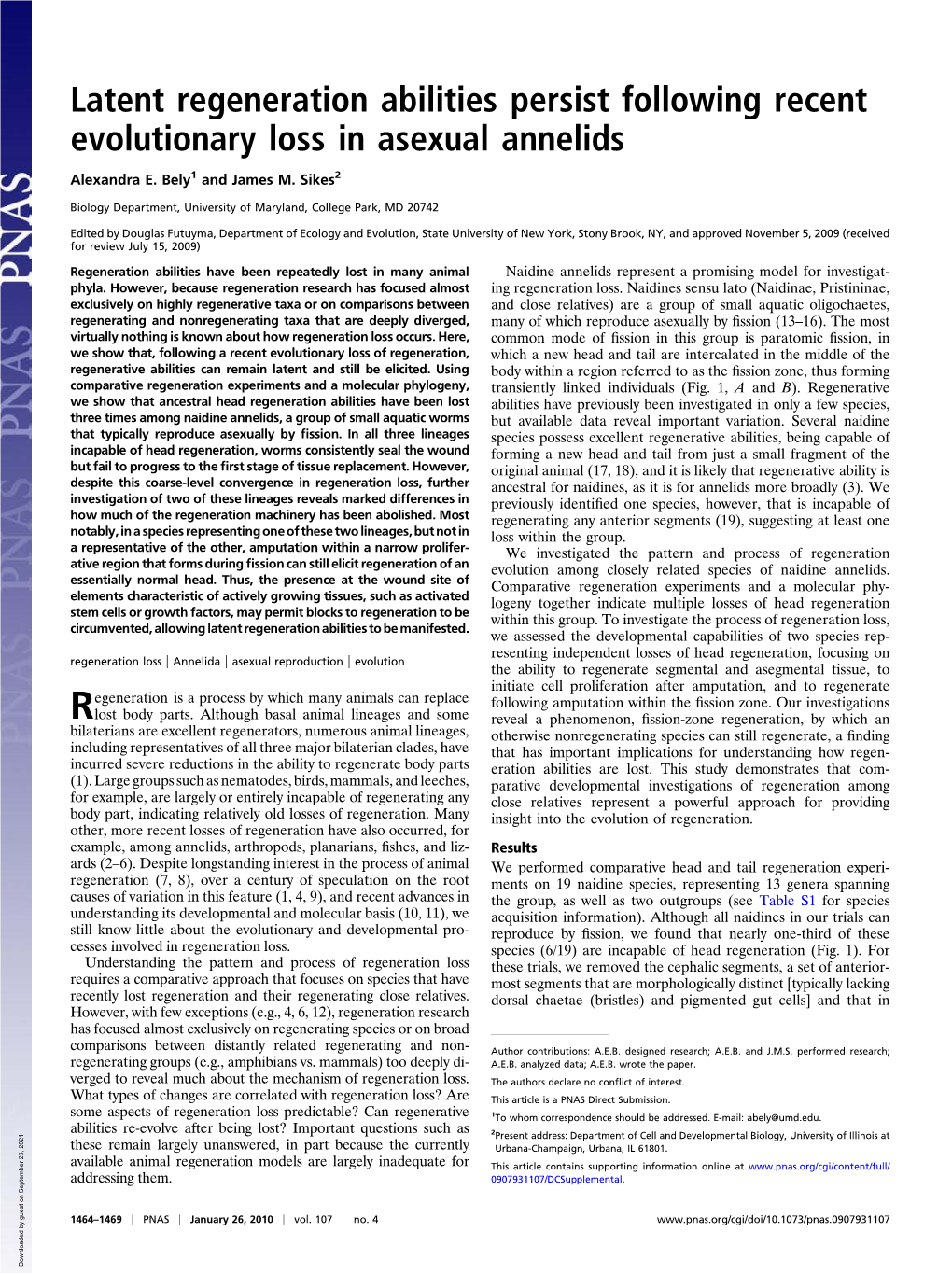 Latent Regeneration Abilities Persist Following Recent Evolutionary Loss in Asexual Annelids