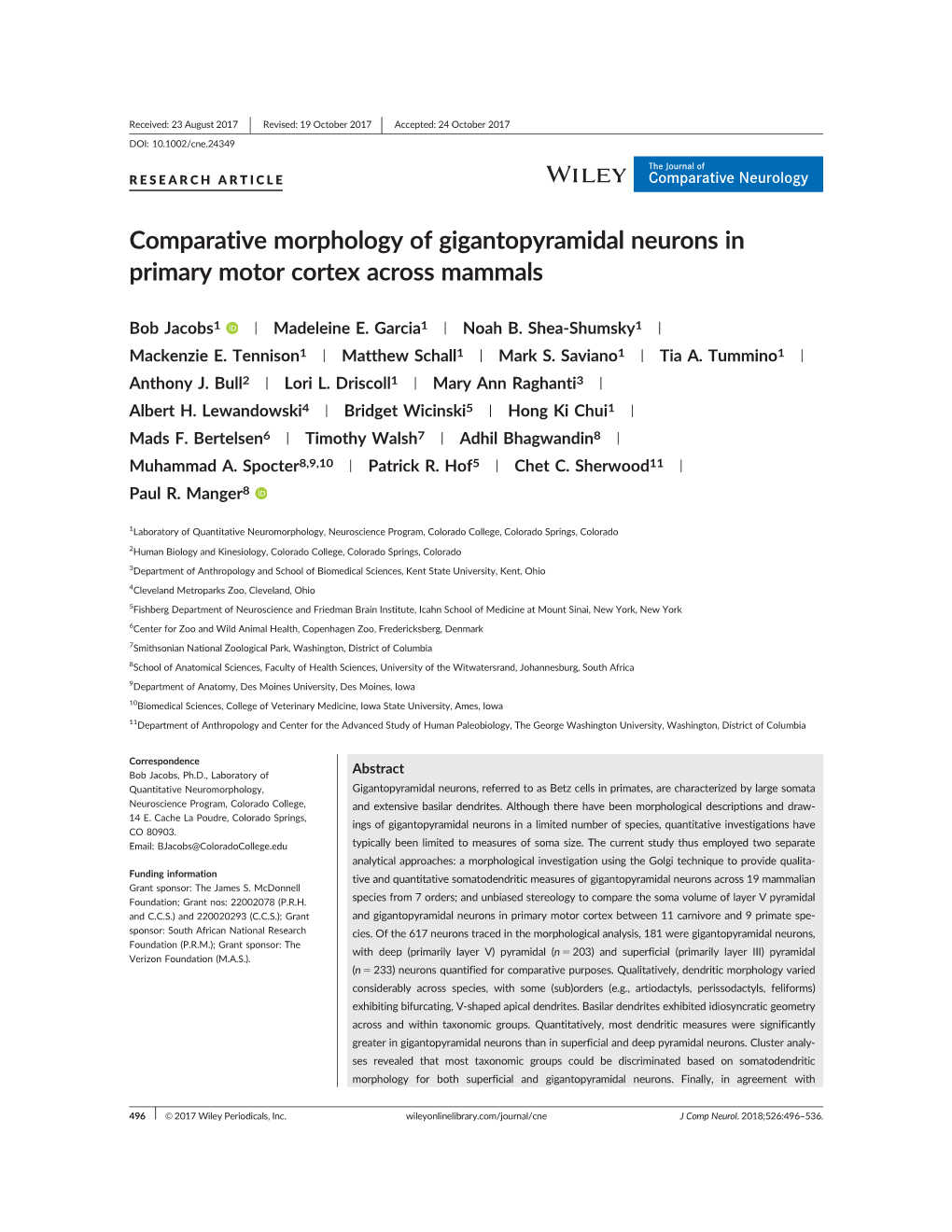 Comparative Morphology of Gigantopyramidal Neurons in Primary Motor Cortex Across Mammals