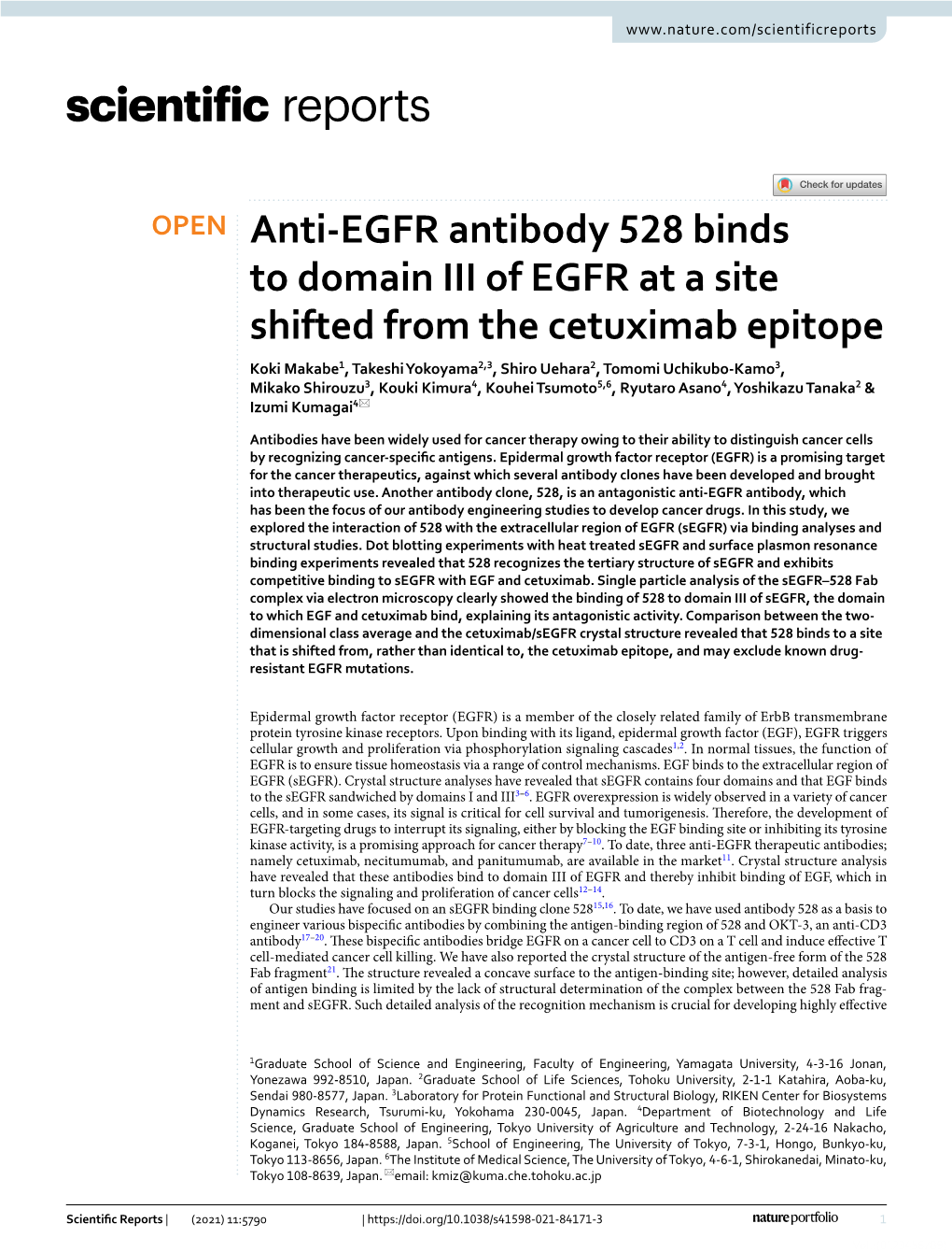 Anti-EGFR Antibody 528 Binds to Domain III of EGFR at a Site