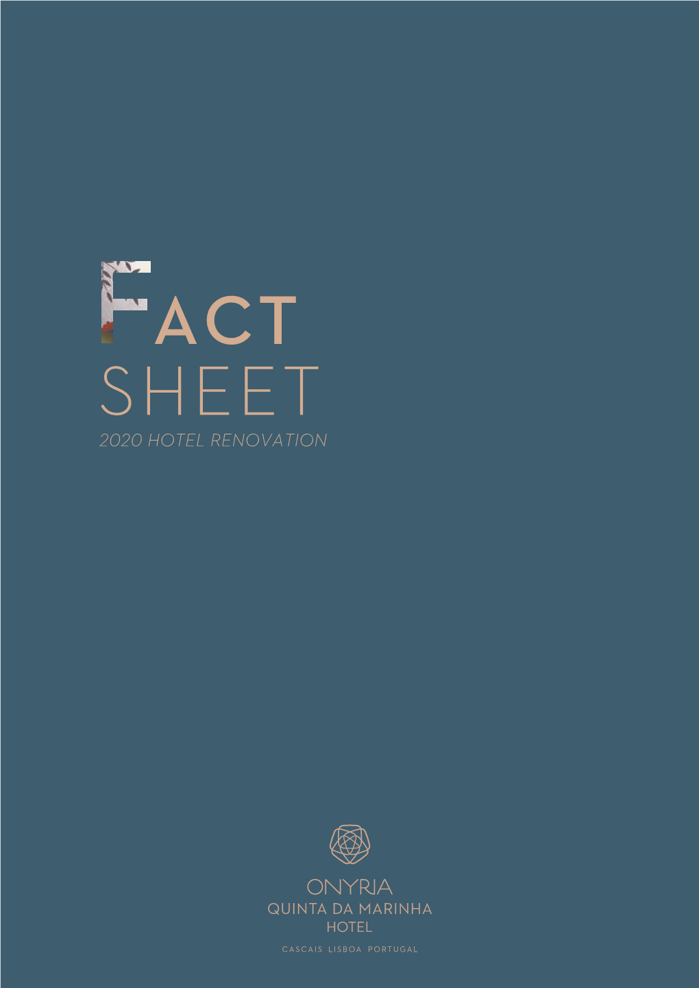 Fact Sheet Digital