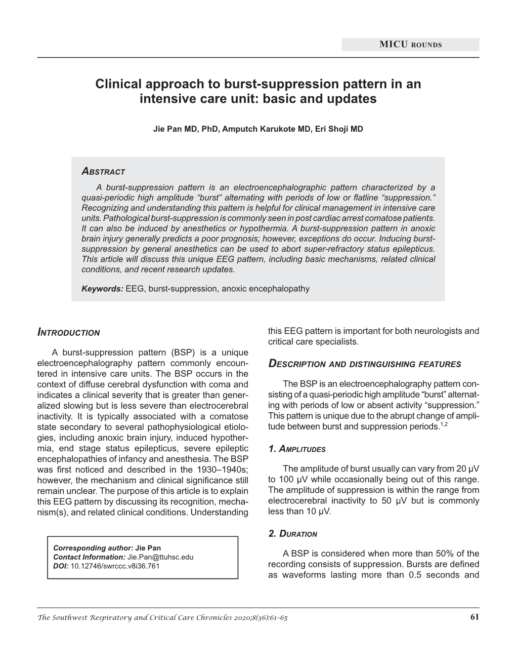 Clinical Approach to Burst-Suppression Pattern in an Intensive Care Unit: Basic and Updates