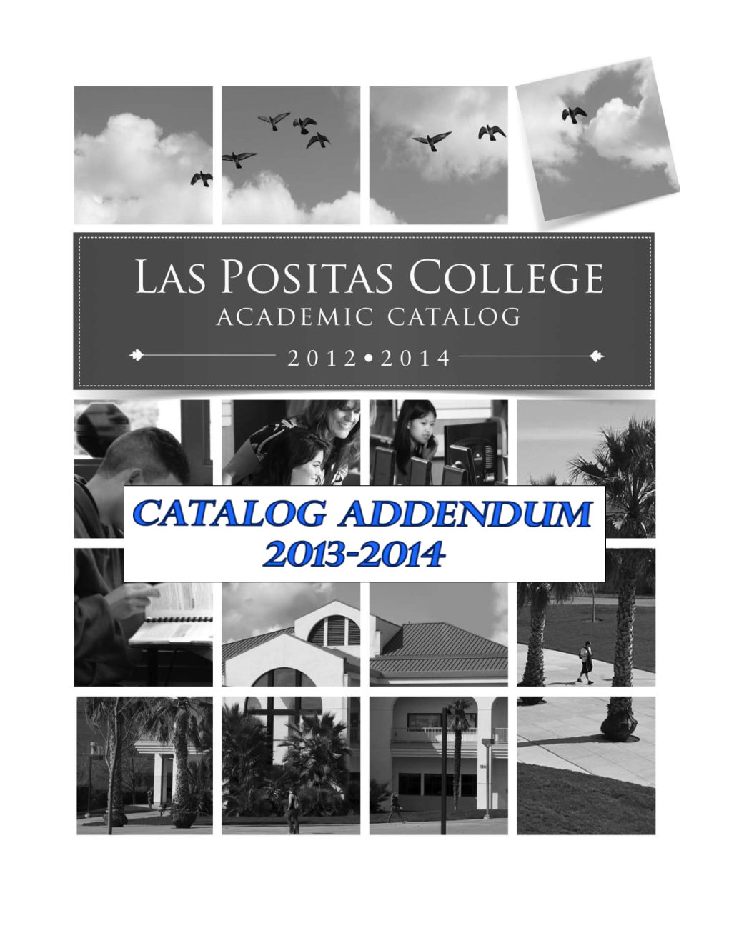 2012-2014 Addendum to LPC Catalog (Pdf)