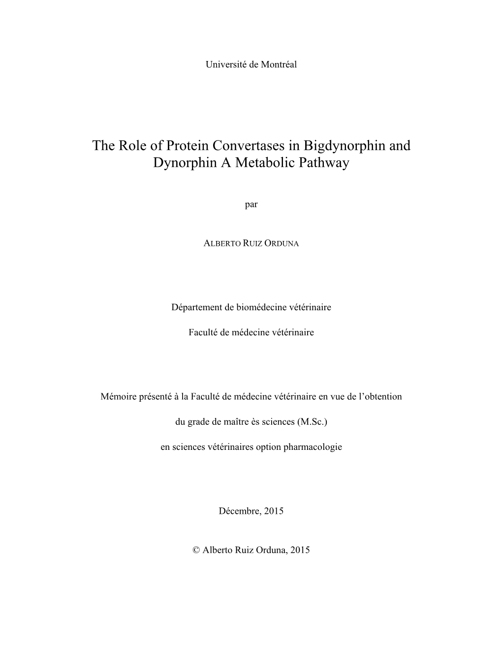 The Role of Protein Convertases in Bigdynorphin and Dynorphin a Metabolic Pathway