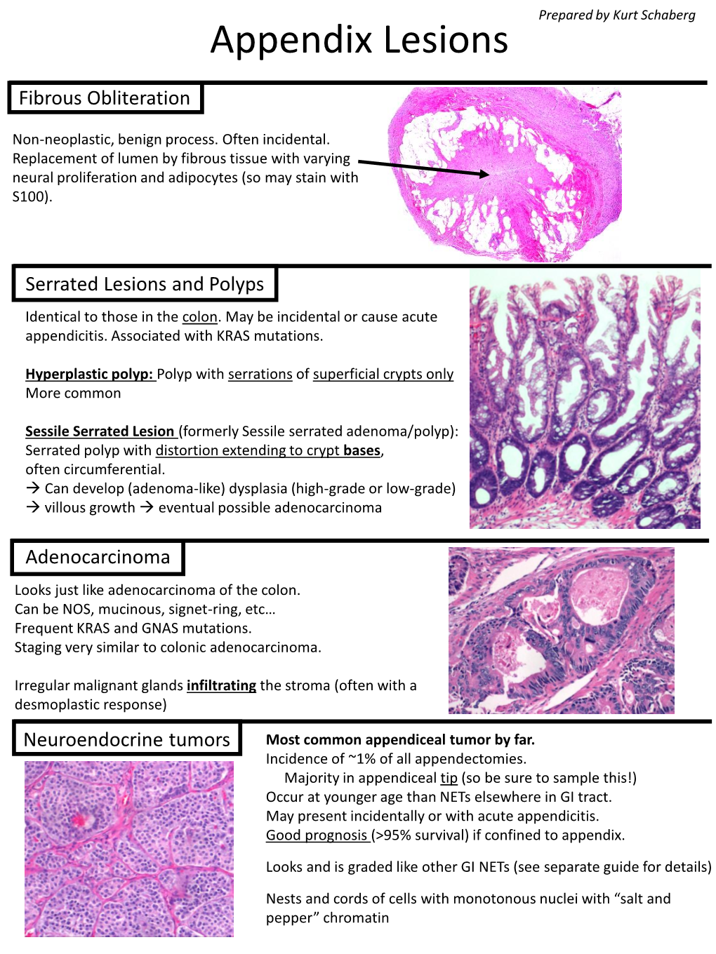 Appendix Lesions