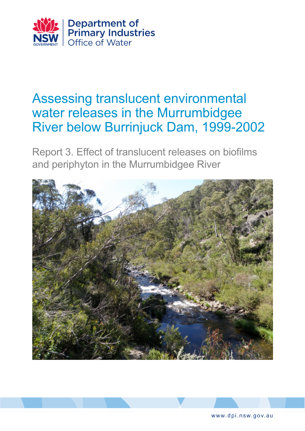 Assessing Translucent Flows in the Murrumbidgee