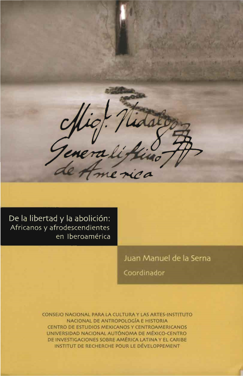 De La Libertad Y La Abolicion : Africanos Y Afrodescendientes En Iberoamérica