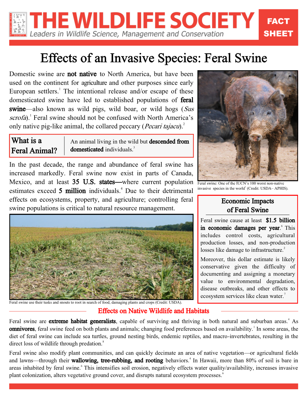 Effects of an Invasive Species: Feral Swine