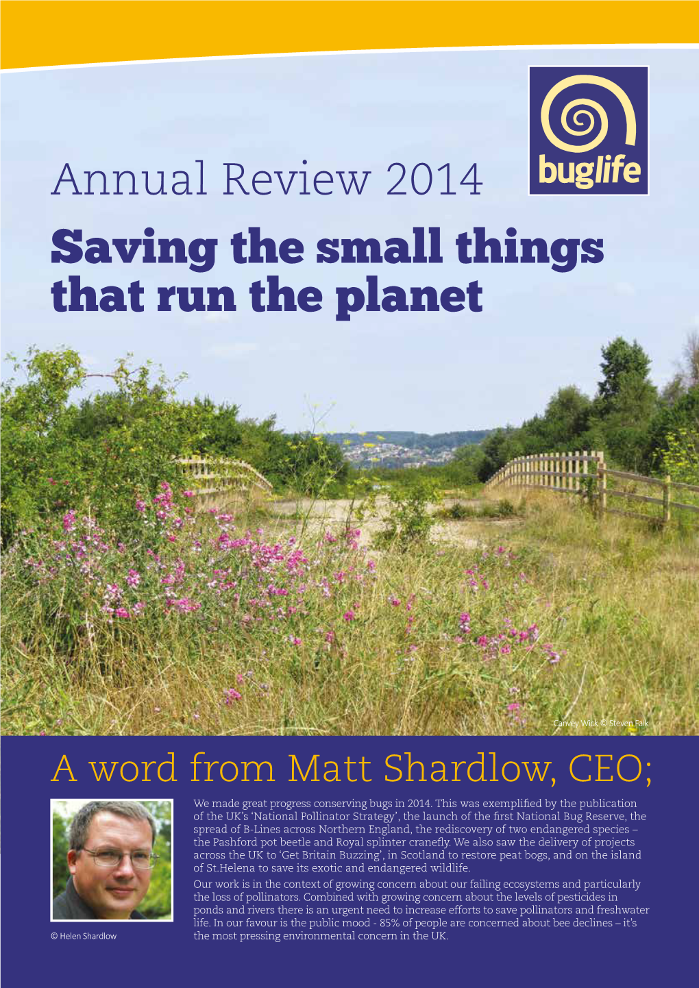 2014 Annual Review