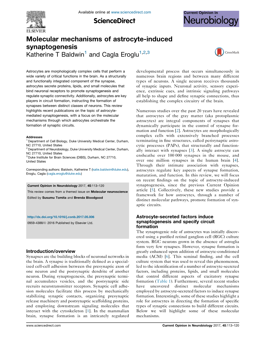 Molecular Mechanisms of Astrocyte-Induced Synaptogenesis