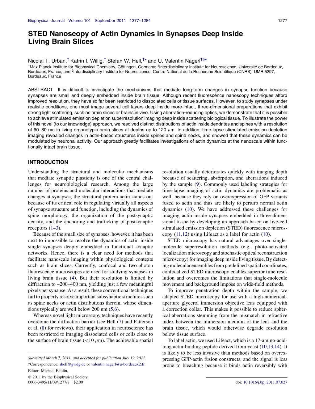 STED Nanoscopy of Actin Dynamics in Synapses Deep Inside Living Brain Slices