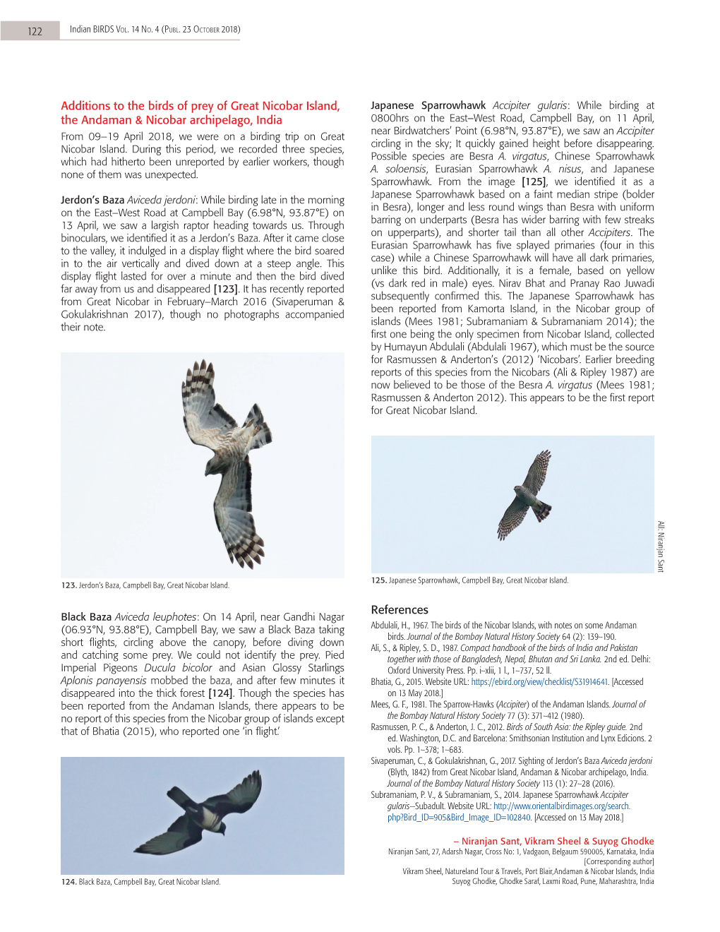 Additions to the Birds of Prey of Great Nicobar Island, the Andaman