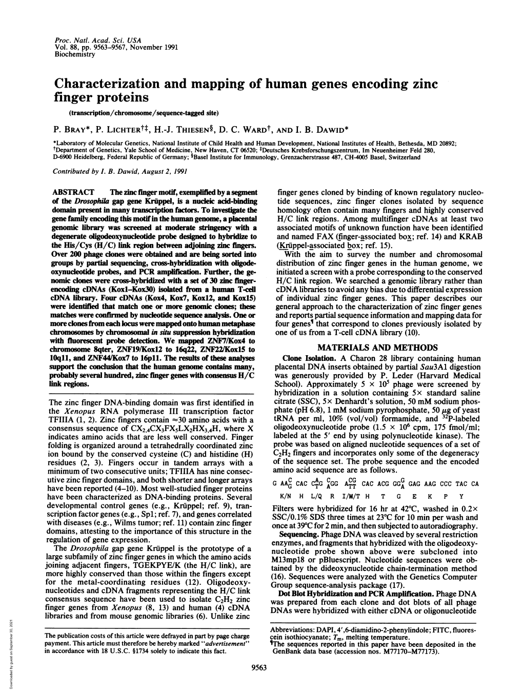 Characterization and Mapping of Human Genes Encoding Zinc Finger Proteins (Transcription/Chromosome/Sequence-Tagged Site) P