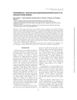 Experimental Narthecium Ossifragum Nephrotoxicity in Cervids from Norway