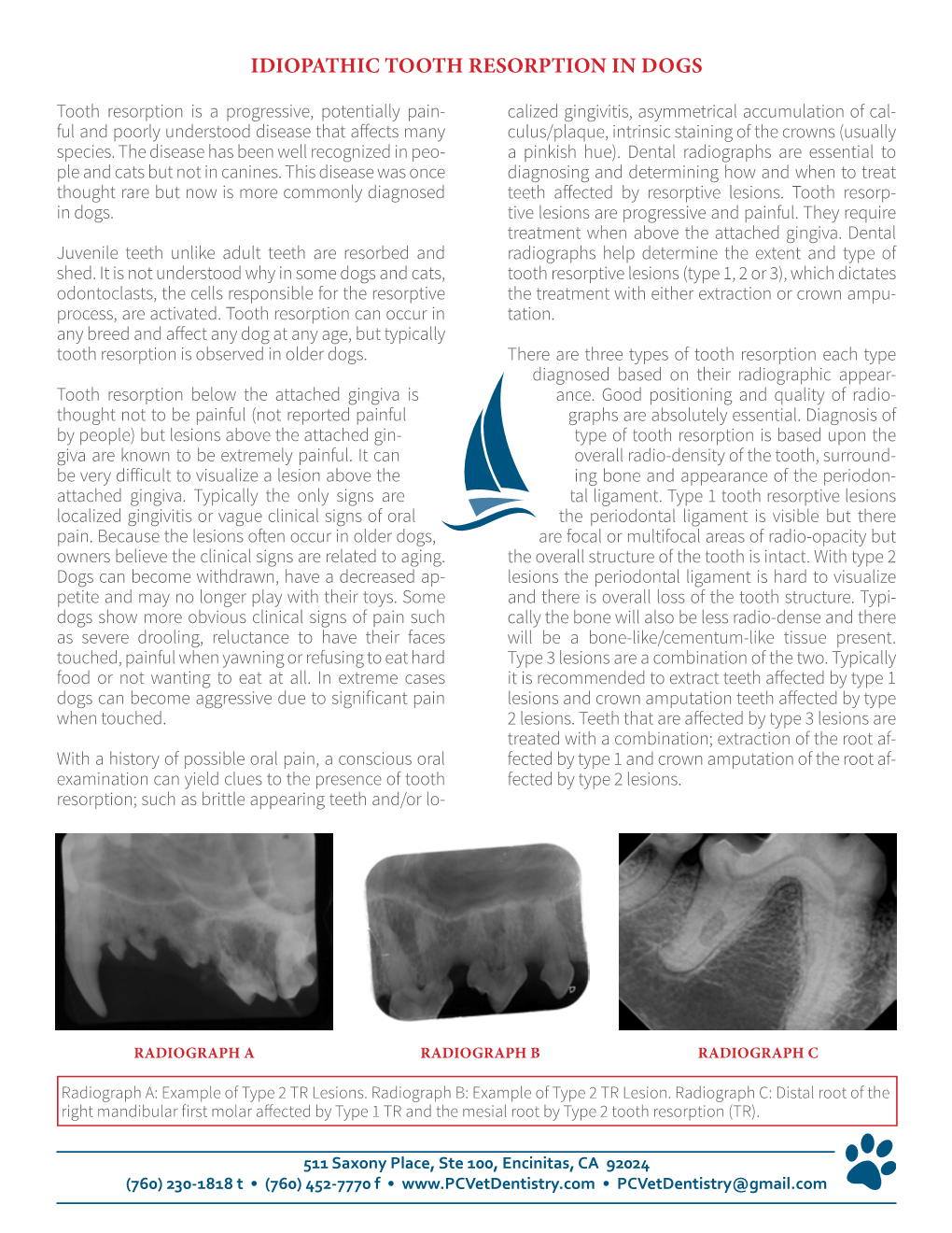 Idiopathic Tooth Resorption in Dogs