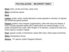 Polygalaceae – Milkwort Family