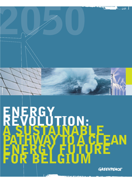 Energy Revolution: Energy Revolution: a Sustainable Pathway to a Clean Energy Revolution for Belgium