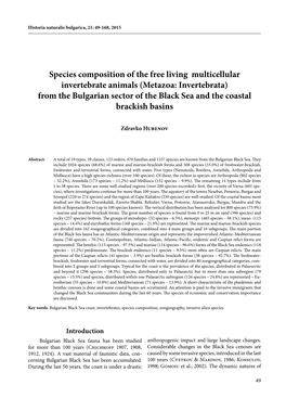 Species Composition of the Free Living Multicellular Invertebrate Animals