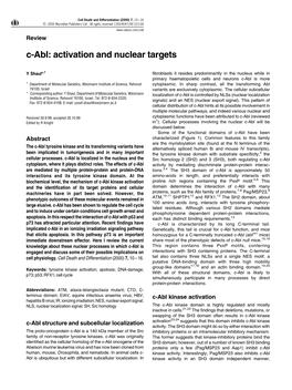 C-Abl: Activation and Nuclear Targets