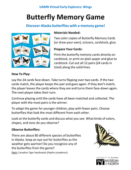 Butterfly Memory Game Activity