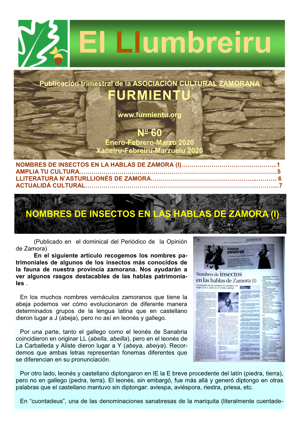 El Llumbreiru Nº60