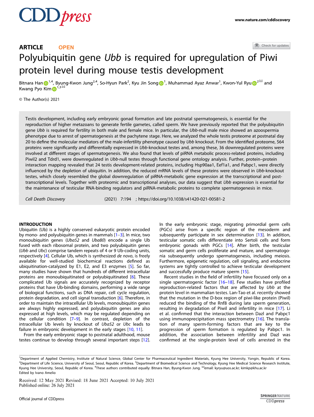 Polyubiquitin Gene Ubb Is Required for Upregulation of Piwi Protein Level During Mouse Testis Development