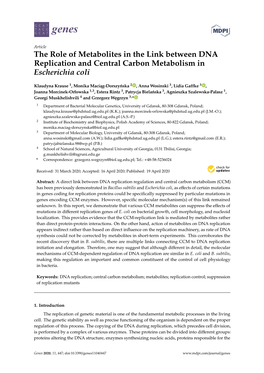 The Role of Metabolites in the Link Between DNA Replication and Central Carbon Metabolism in Escherichia Coli