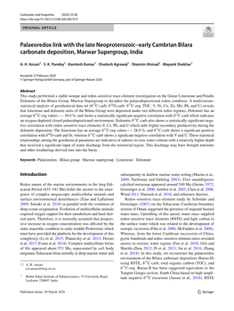 Palaeoredox Link with the Late Neoproterozoic–Early Cambrian Bilara Carbonate Deposition, Marwar Supergroup, India