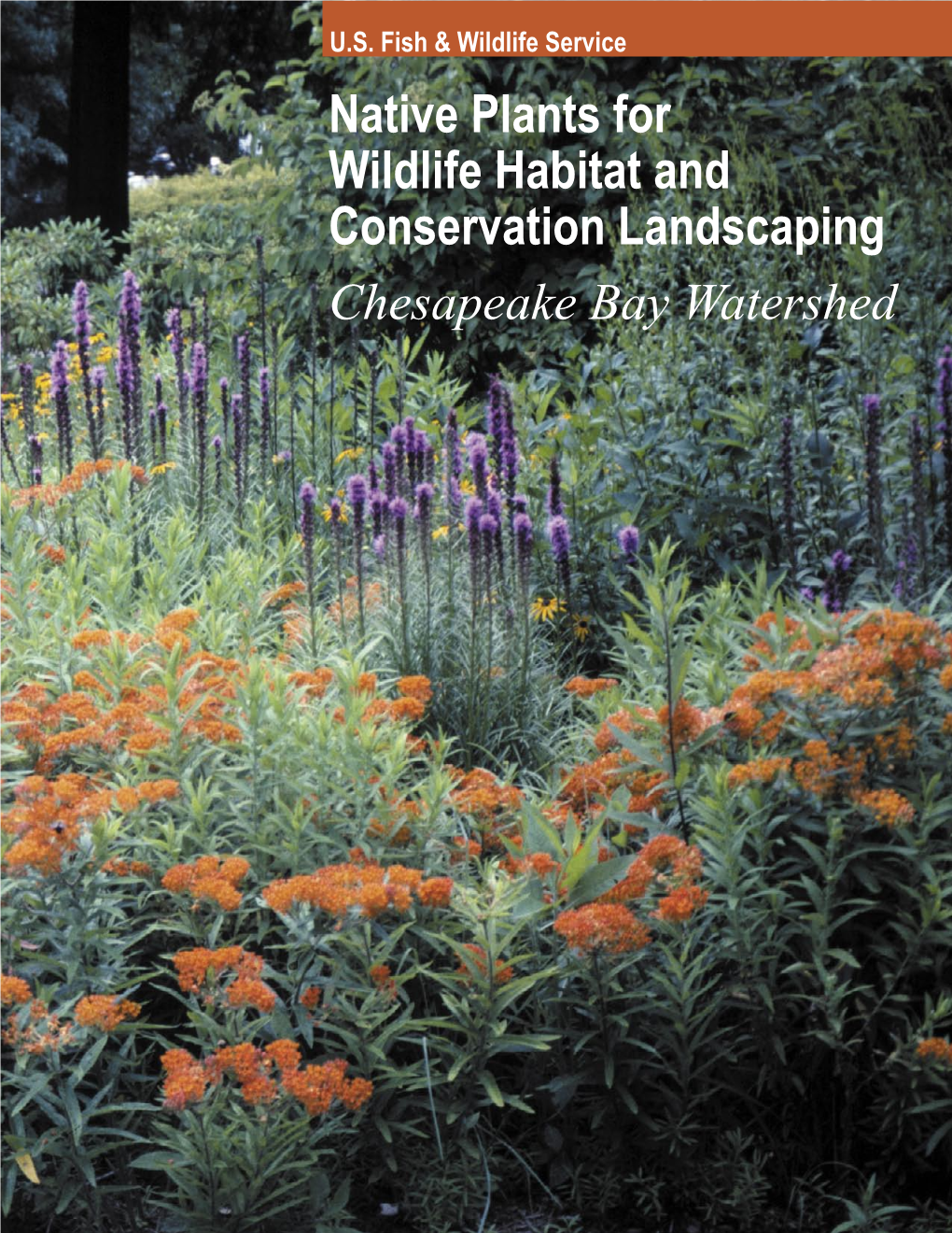 Native Plants for Wildlife Habitat and Conservation Landscaping ...