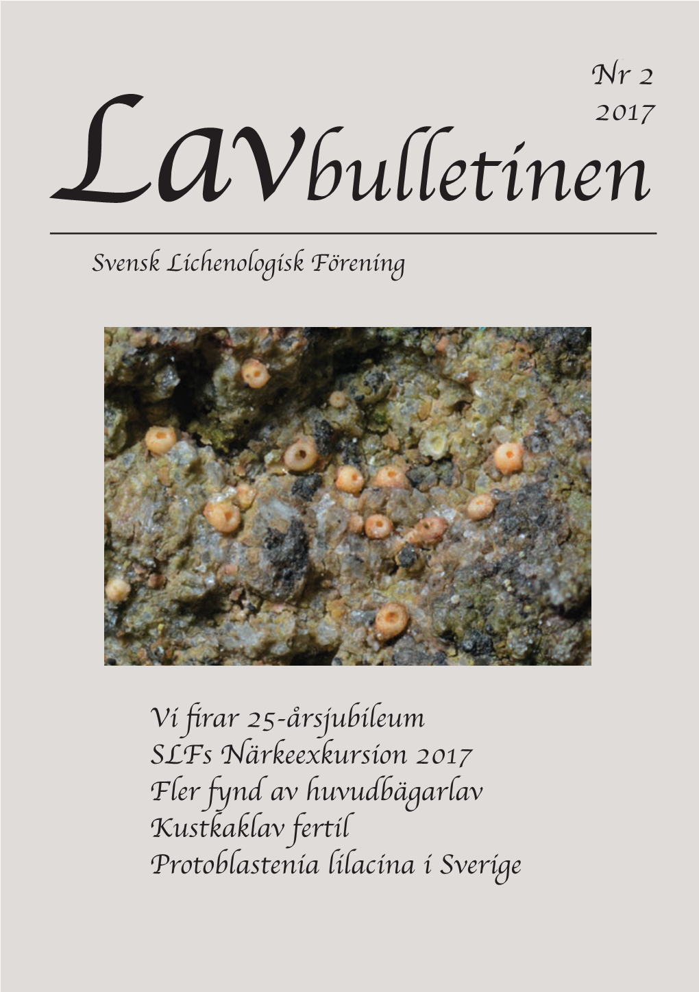 Lavbulletinen 2-2017 ––––––––––––––––––––––––––– Nr 2 2017 Lavbulletinen Svensk Lichenologisk Förening