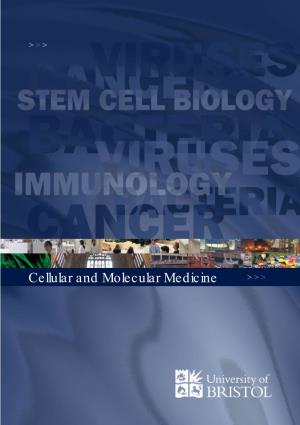 Cellular and Molecular Medicine > > > the Bsc Degree Programmes Cancer Biology (B190)