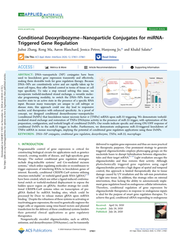 Conditional Deoxyribozyme−Nanoparticle Conjugates For