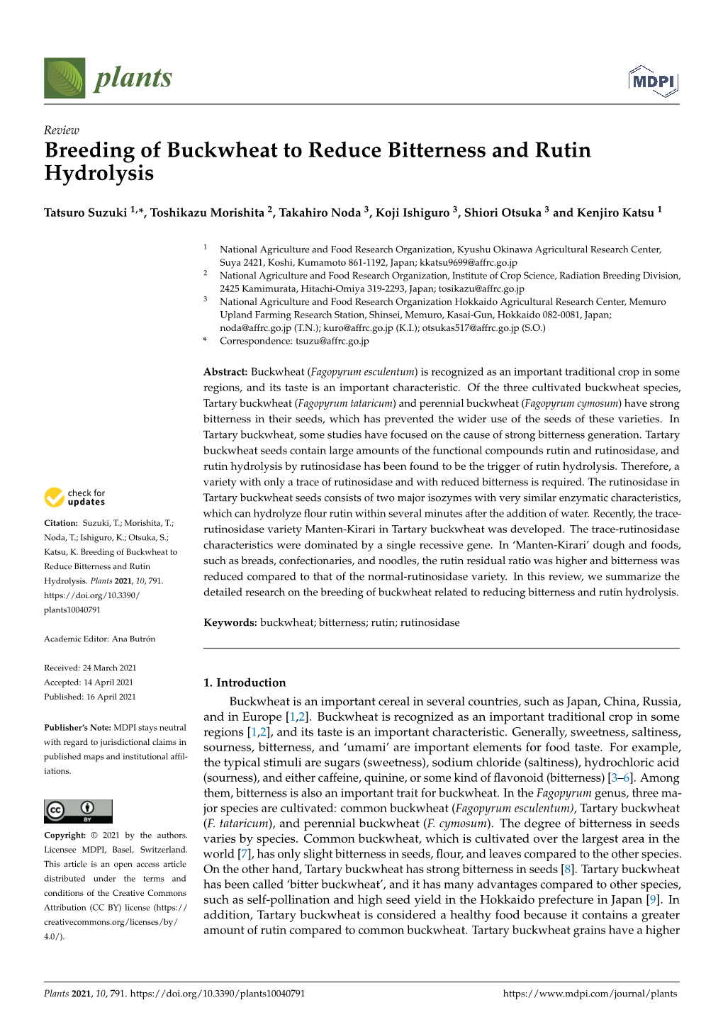 Breeding of Buckwheat to Reduce Bitterness and Rutin Hydrolysis