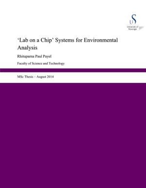 'Lab on a Chip' Systems for Environmental Analysis