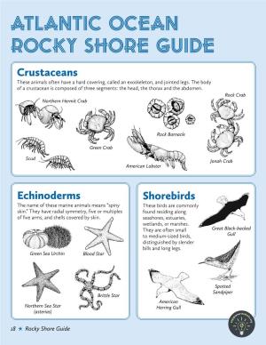 Atlantic Ocean Rocky Shore Guide