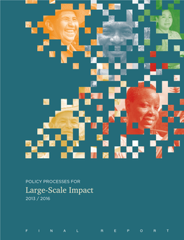 Large-Scale Impact 2013 /2016 POLICY PROCESSES for FINAL REPORT