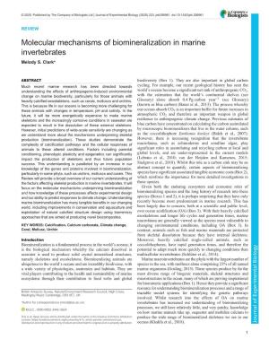 Molecular Mechanisms of Biomineralization in Marine Invertebrates Melody S