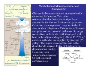 Metabolism of Monosaccharides and Disaccharides Glucose Is the Most Common Monosaccharide Consumed by Humans