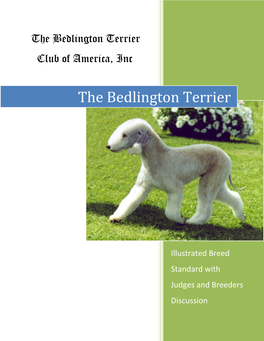The Bedlington Terrier Club of America, Inc